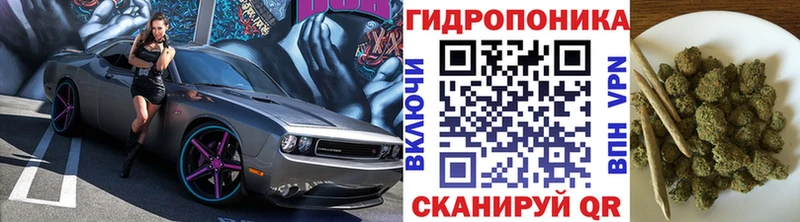 Купить где  Щёкино  Шишки марихуана семена 